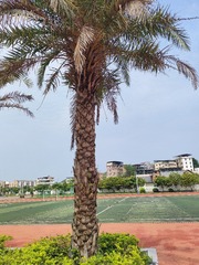 1000016720
