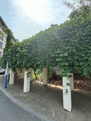 1000016722