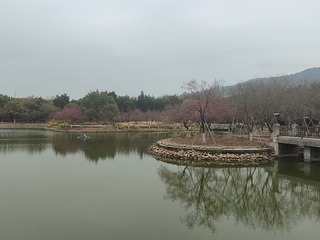 1000015818