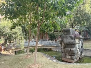 1000014339