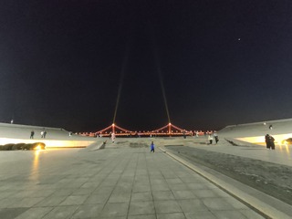 1000015249