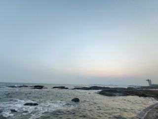 1000015529