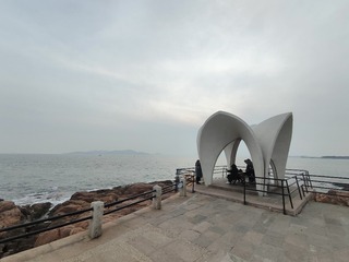 1000015651