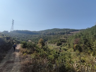 1000014561