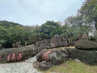 1000009106