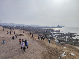 1000015588