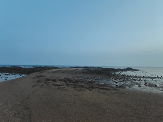 1000015530