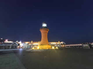 1000015239