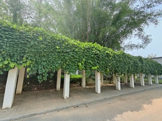 1000016721