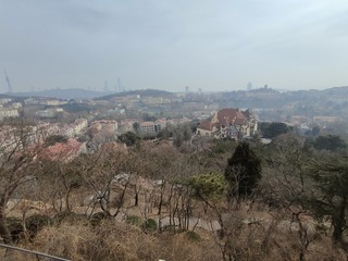 1000015614