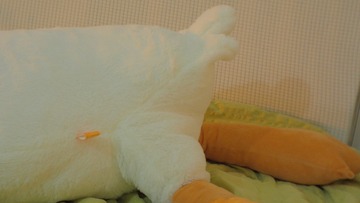 8BED16CC-9615-45A6-BAEC-6F09DCB5E1EF/L0/001