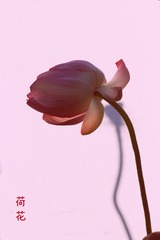 58B5C44A-9FD9-4085-B6EF-20F89E2EB0A6/L0/001