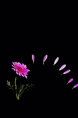 0EE0EAED-00CB-456B-9C62-CD1D0552E094/L0/001