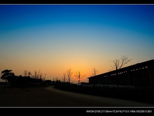 DSC_5167.jpg