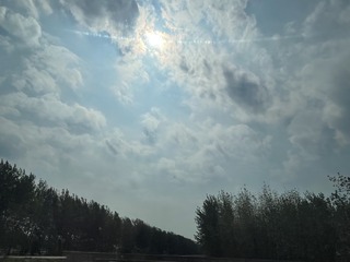A28E615A-268D-4435-B906-82003F35D416/L0/001