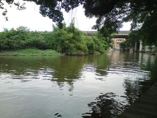 小洲村12.JPG