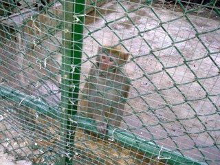 20110430050.jpg