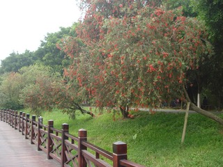 DSC07203.JPG