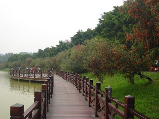 DSC07207.JPG