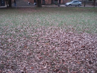 DSC07111.JPG