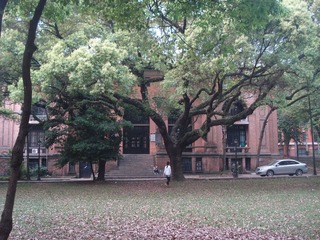 DSC07107.JPG