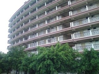 DSC01290.JPG