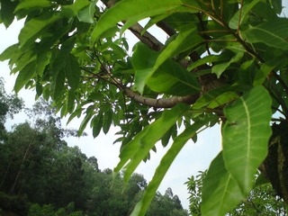 DSC01281.JPG