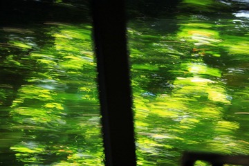车窗外
