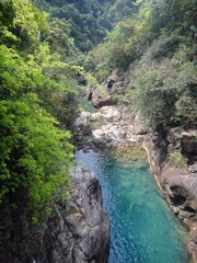dsc00005.jpg