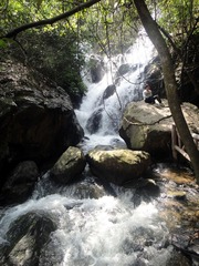 dsc00009.jpg