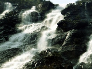 dsc00052.jpg