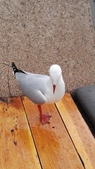 3281