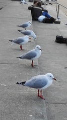 3283