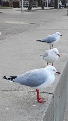 3282