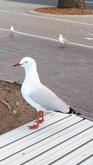 3284