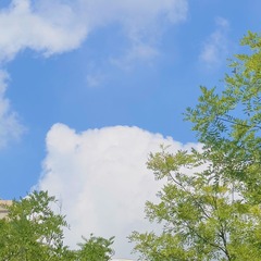 14C3B05E-2C86-4525-ABB8-EDD66EF22283/L0/001