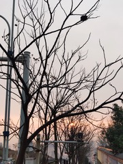 2905742