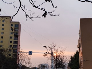 2905741