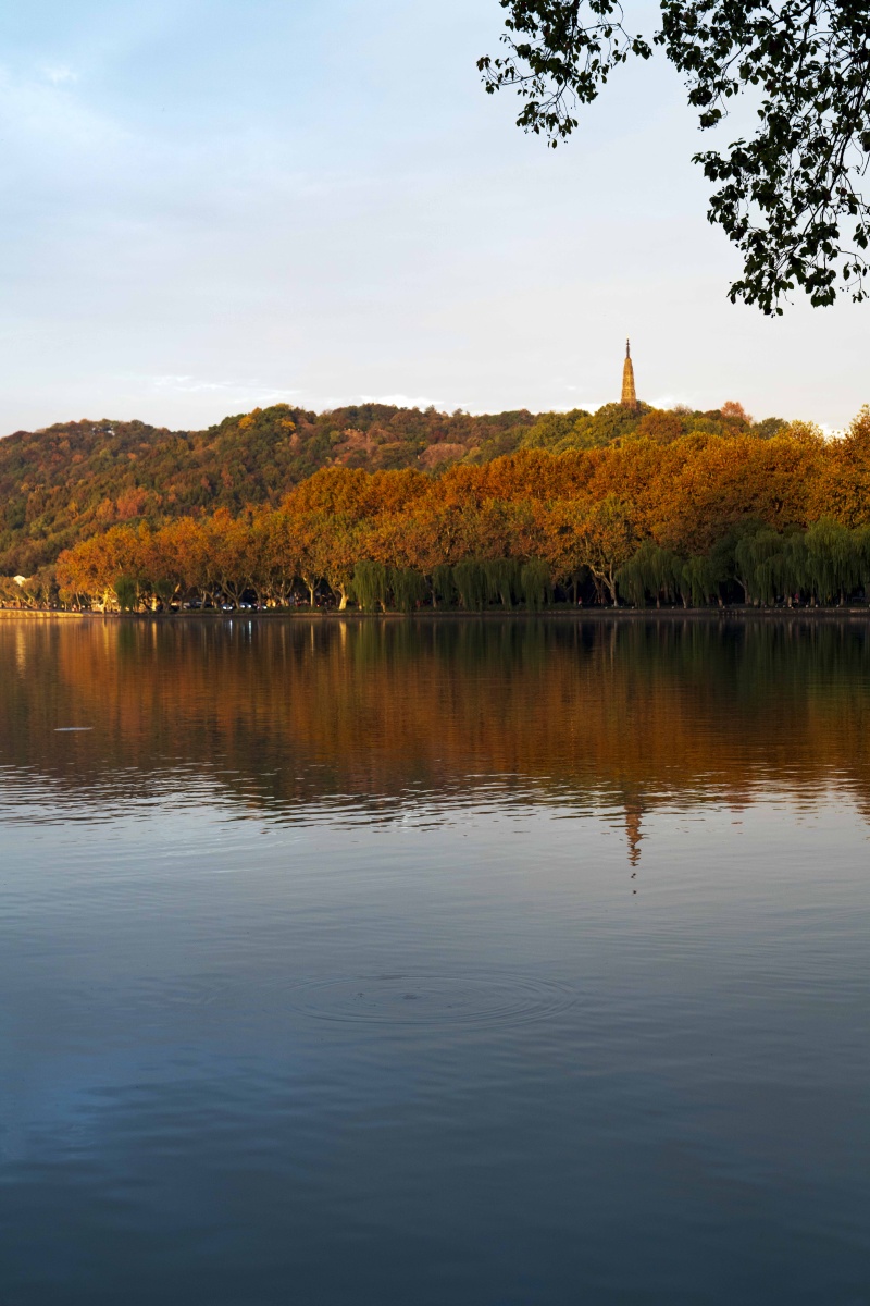 西湖秋季的清晨