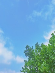 1920568