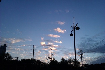 IMAG0011.jpg