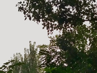 1920515