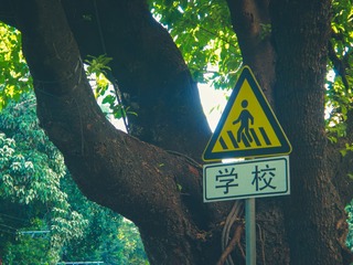3C1CEAEF-2BC6-47ED-B788-7400B5630114/L0/001