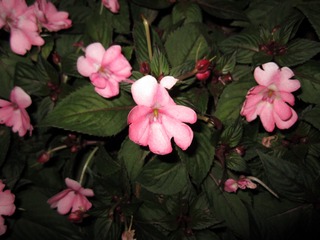 36E04B8C-5552-4DBF-B6F6-23D0F0E4B2C6/L0/001