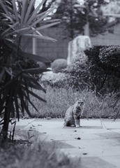 DSC05611