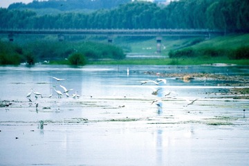 FA158D31-D209-44C1-831B-506D7EB70412/L0/001