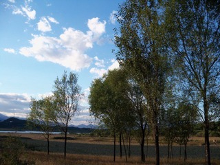 100_1608.JPG
