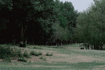 AA2DD6C2-8D70-414E-A3AC-14AAB54762F5/L0/001
