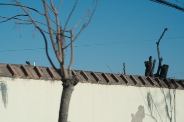 2CBDFFA3-B1E9-4F6E-810E-B6BEFE90AE8C/L0/001