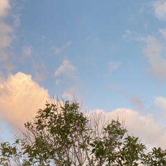 2FA72220-0734-435D-9F0F-229EDF782747/L0/001